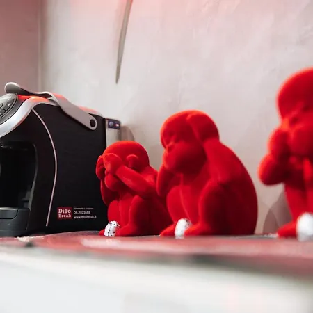 Dream Bed & Breakfast